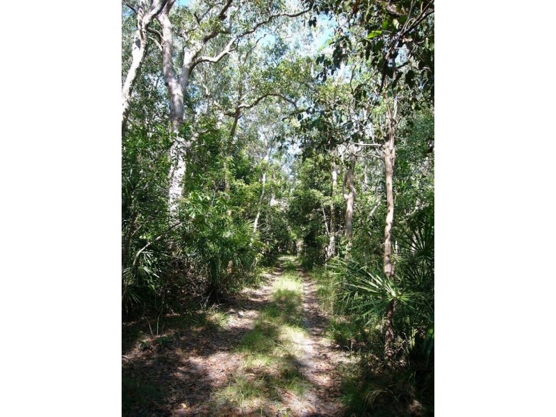 219 Kate Avenue, Deepwater QLD 4674