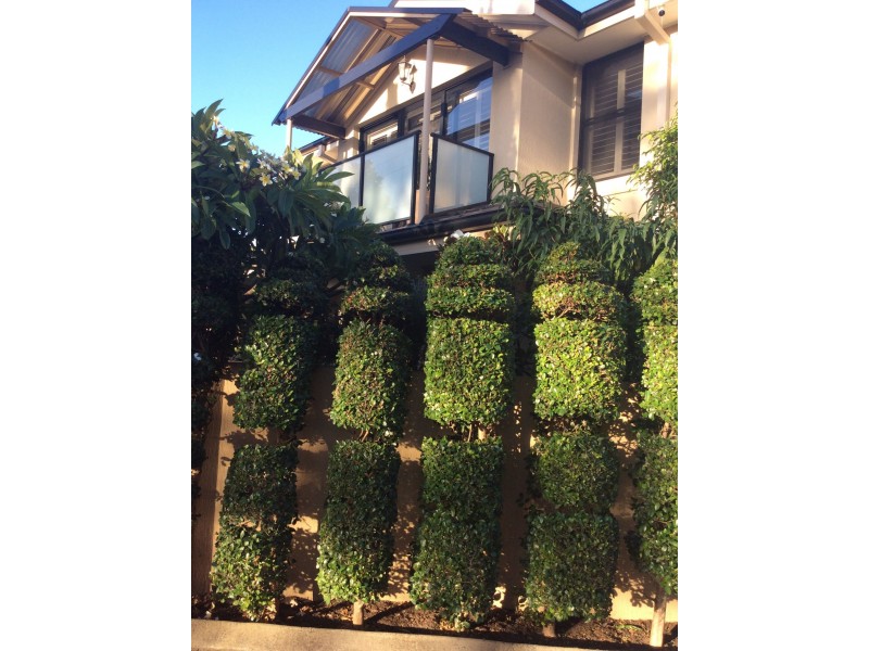 Ettalong Beach NSW 2257