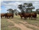 12920 Peak Downs Highway, Coppabella QLD 4741