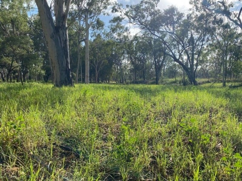 12920 Peak Downs Highway, Coppabella QLD 4741