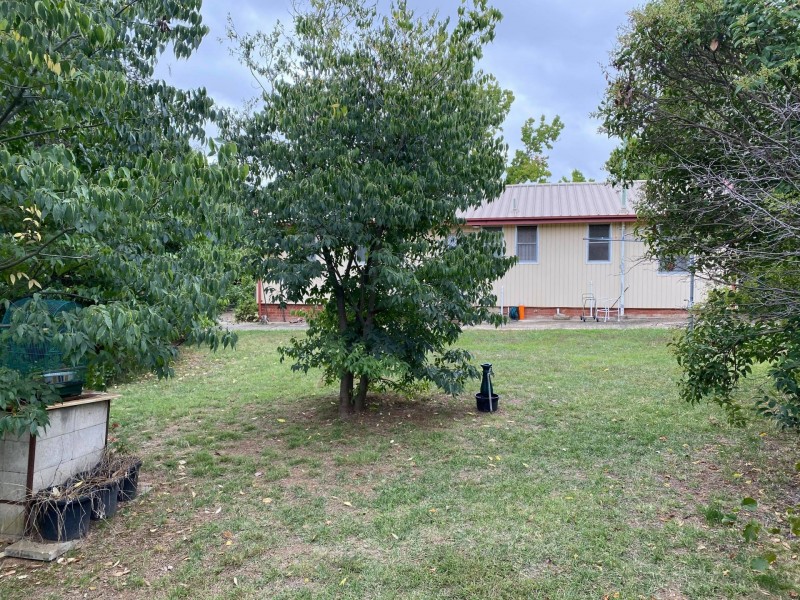 19 Fairbridge Cresent, Ainslie ACT 2602