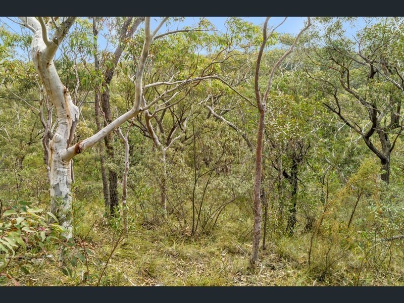 77-79 bullaburra rd, Bullaburra NSW 2784