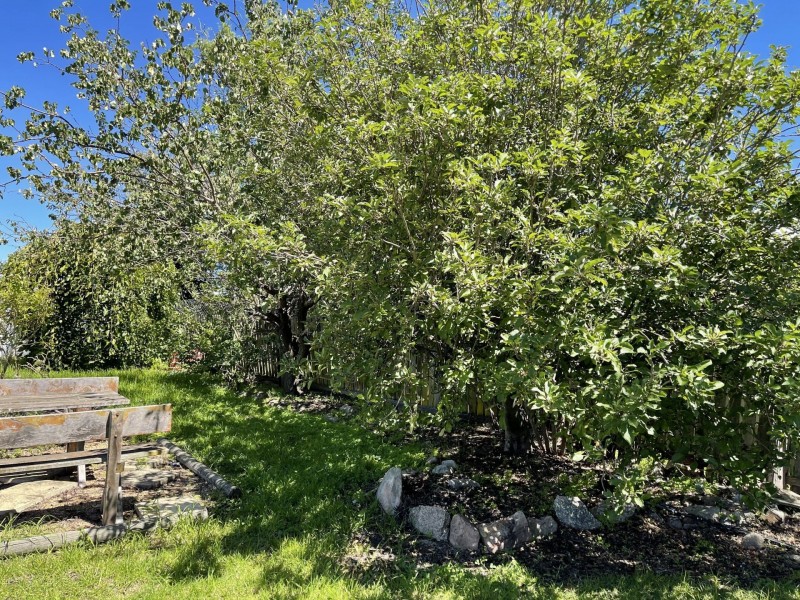 23 Molesworth Street, Tenterfield NSW 2372