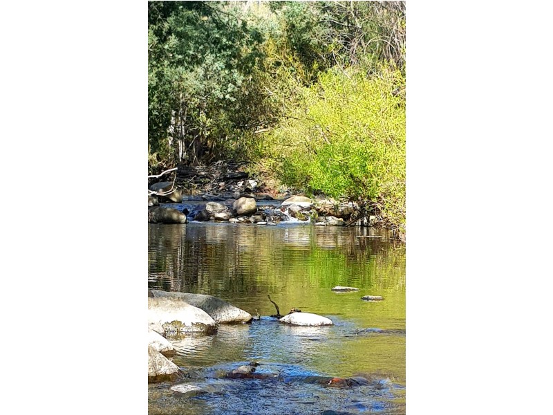 626 Molesworth Rd, Molesworth TAS 7140