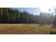 626 Molesworth Rd, Molesworth TAS 7140