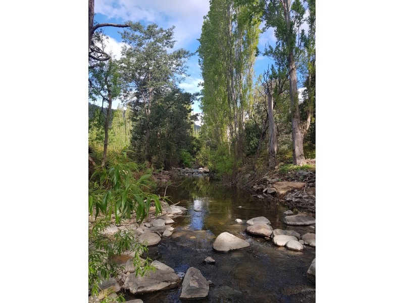 626 Molesworth Rd, Molesworth TAS 7140