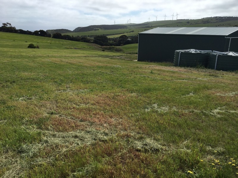11 St Vincent Drive, Cape Jervis SA 5204