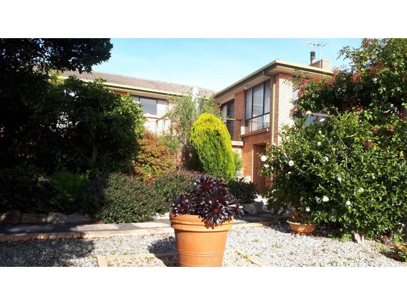 3 Telemon Street, St Helens TAS 7216