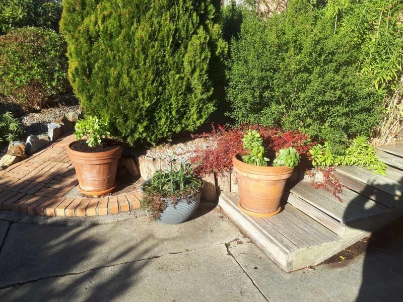 3 Telemon Street, St Helens TAS 7216