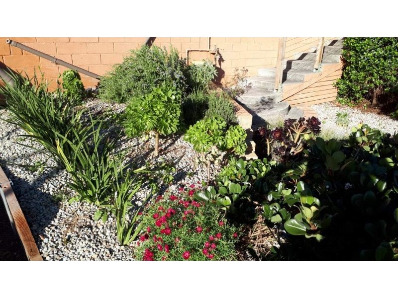 3 Telemon Street, St Helens TAS 7216