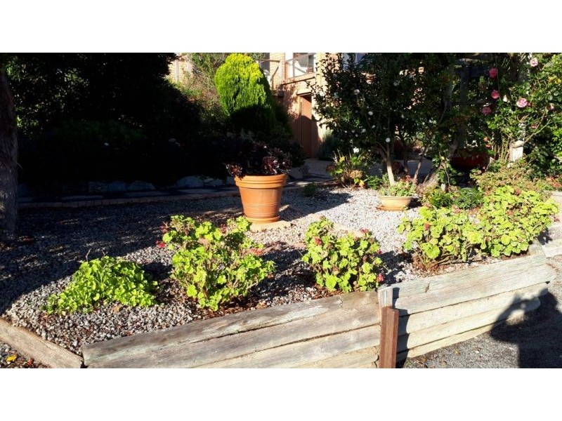 3 Telemon Street, St Helens TAS 7216