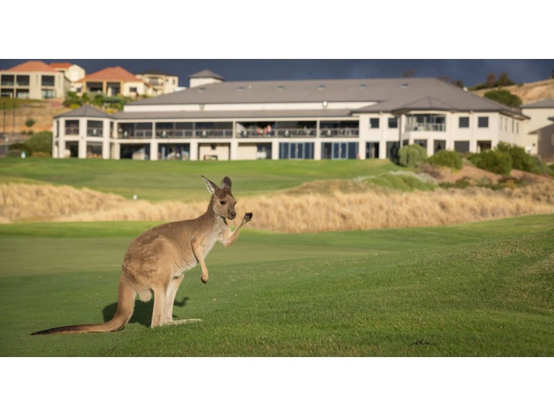 Lot 8, 30 Troon Drive, Normanville SA 5204