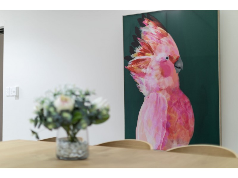 15 Hibernia crescent, Brinkin NT 0810