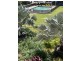 5202/5 Anchorage Ct, Darwin NT 0800