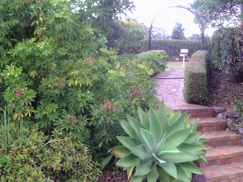 38 Paperbark Place, Lake Innes NSW 2446