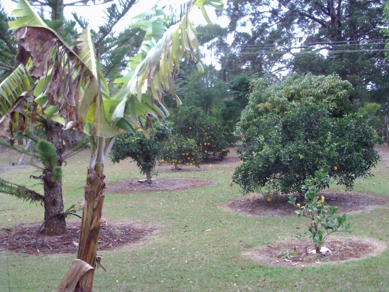 38 Paperbark Place, Lake Innes NSW 2446