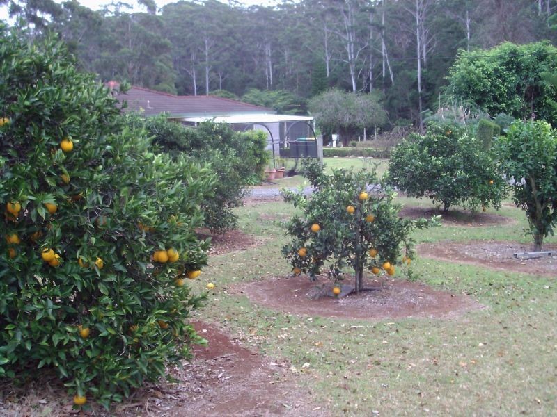 38 Paperbark Place, Lake Innes NSW 2446