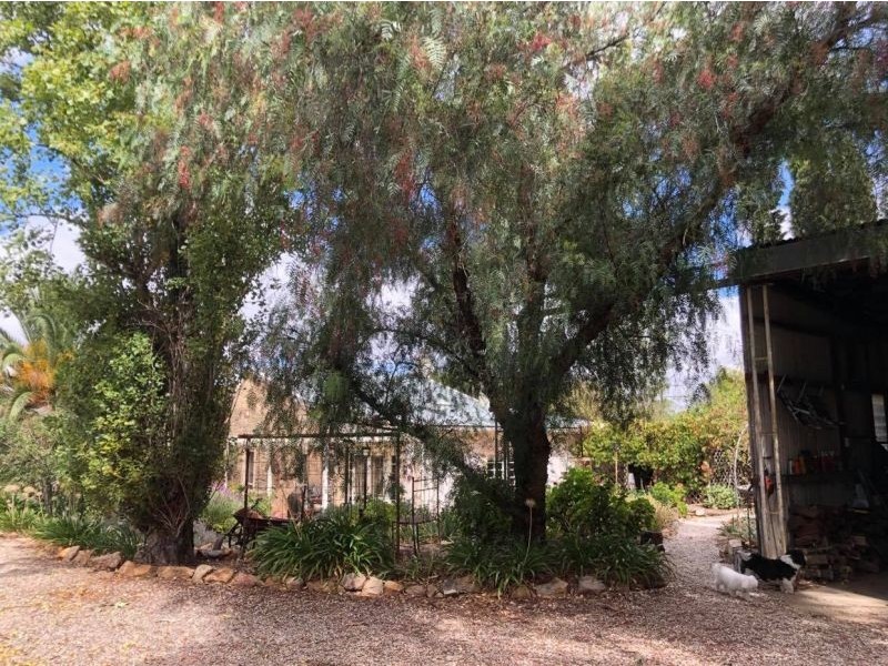 29 Ford St, Auburn SA 5451