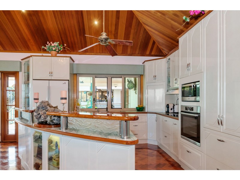 45 Yarrawonga Drive, Castle Hill QLD 4810