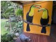 755 Ellerbeck Road, Carruchan QLD 4816
