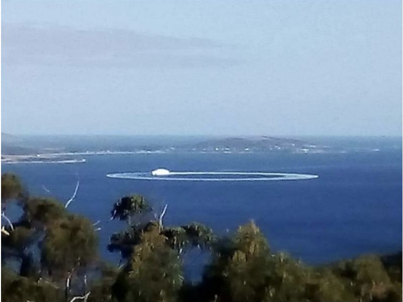 209 Albion Heights Drive, Kingston TAS 7050