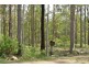 124 Deephouse Rd, Bauple QLD 4650