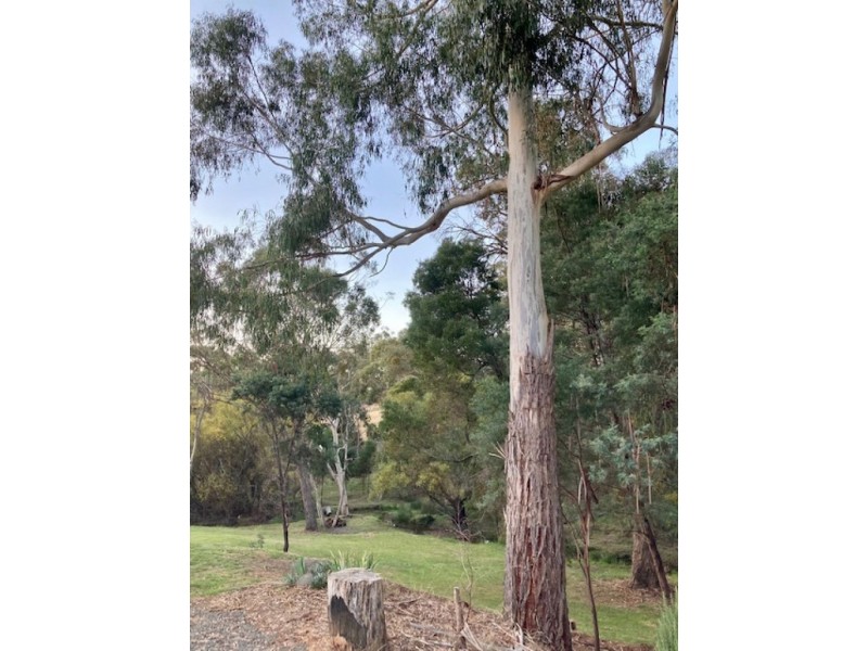 1369 Harrys Creek Rd, Marraweeney VIC 3669