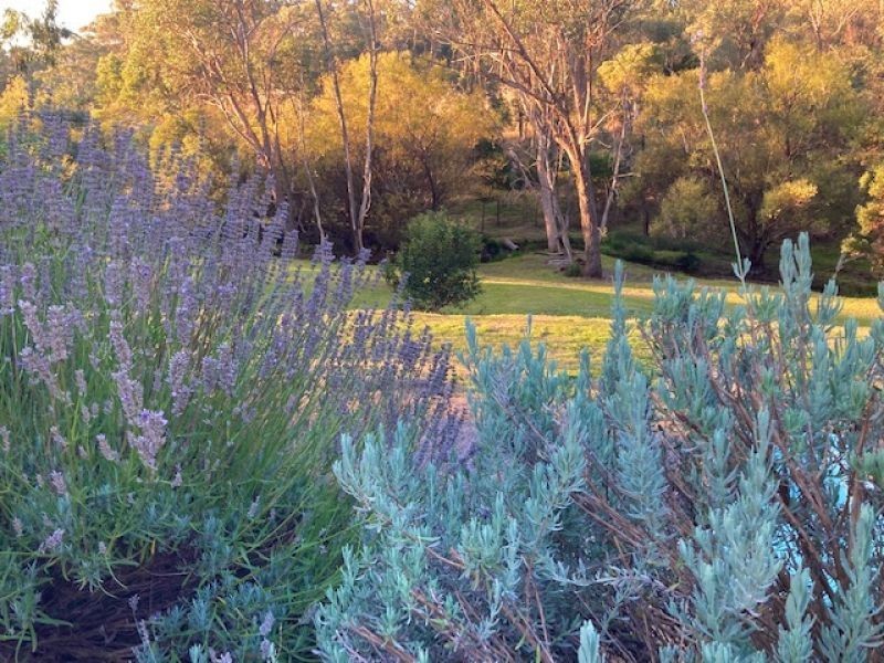 1369 Harrys Creek Rd, Marraweeney VIC 3669