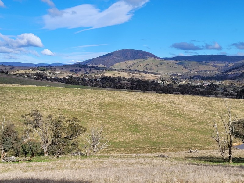 91 Sebastopol Hill Road, Omeo VIC 3898