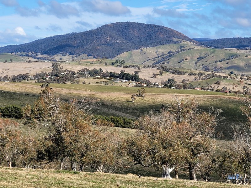 91 Sebastopol Hill Road, Omeo VIC 3898