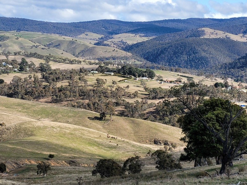 91 Sebastopol Hill Road, Omeo VIC 3898