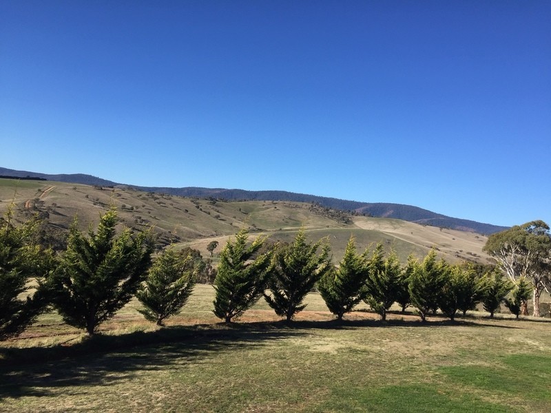 91 Sebastopol Hill Road, Omeo VIC 3898