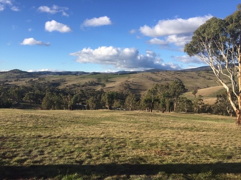 91 Sebastopol Hill Road, Omeo VIC 3898