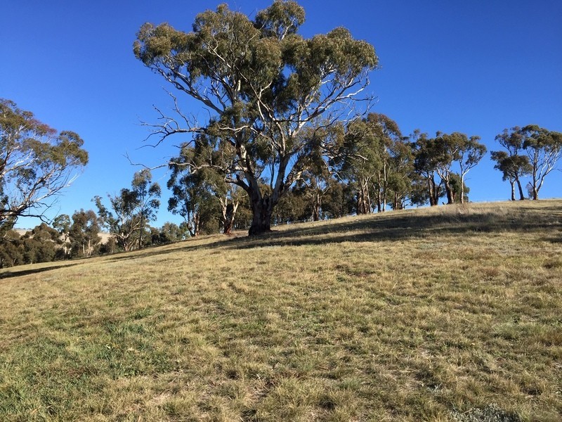 91 Sebastopol Hill Road, Omeo VIC 3898