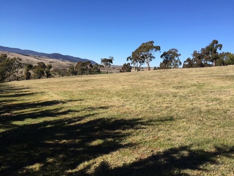 91 Sebastopol Hill Road, Omeo VIC 3898