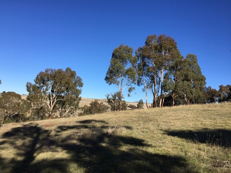 91 Sebastopol Hill Road, Omeo VIC 3898