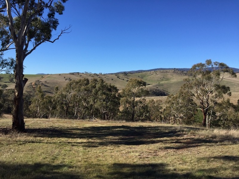 91 Sebastopol Hill Road, Omeo VIC 3898