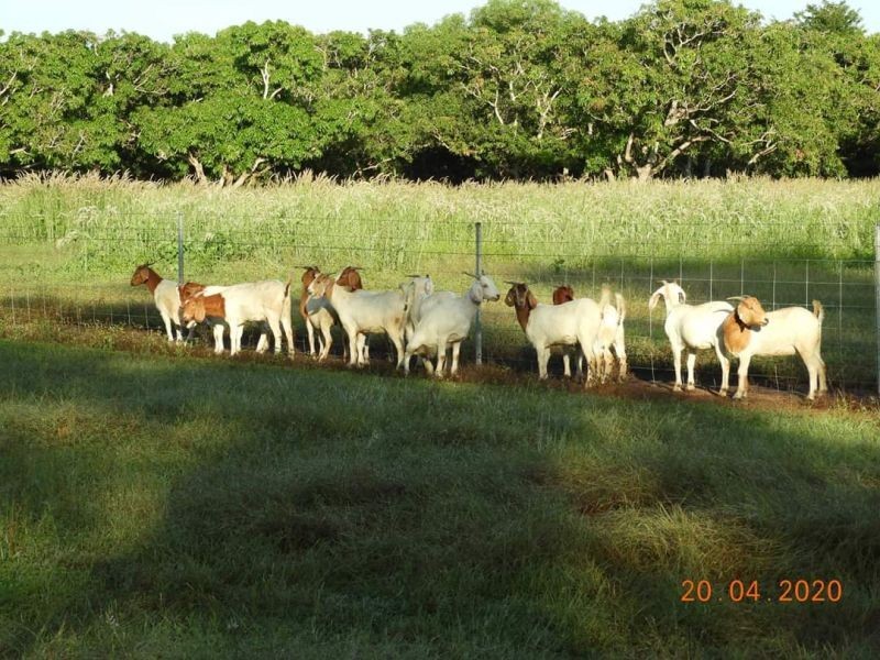 95 Thorak Road, Knuckey Lagoon NT 0828