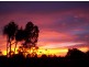95 Thorak Road, Knuckey Lagoon NT 0828