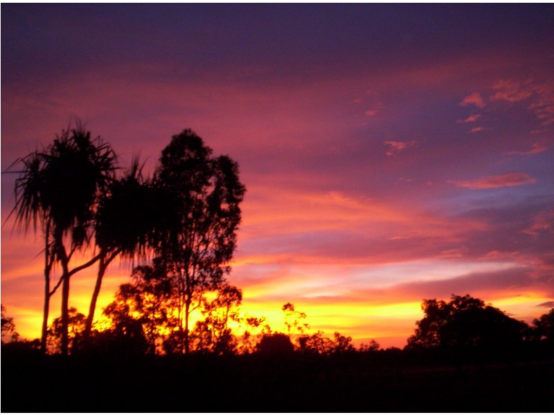 95 Thorak Road, Knuckey Lagoon NT 0828