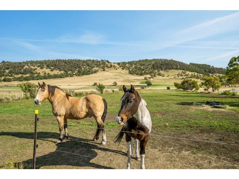 1451 Midland Highway, Bagdad TAS 7030