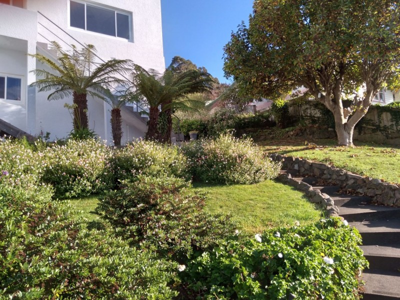 38 Studholme Street, South Burnie TAS 7320