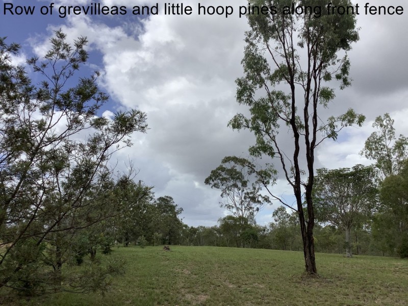 118 Stronachs Road, Horse Camp QLD 4671