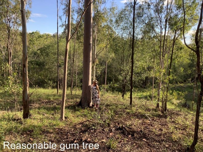 118 Stronachs Road, Horse Camp QLD 4671