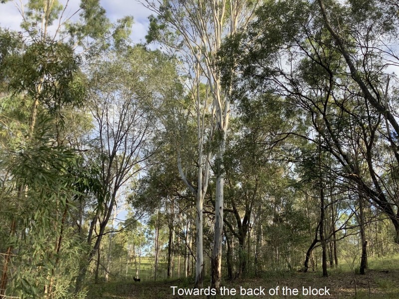 118 Stronachs Road, Horse Camp QLD 4671