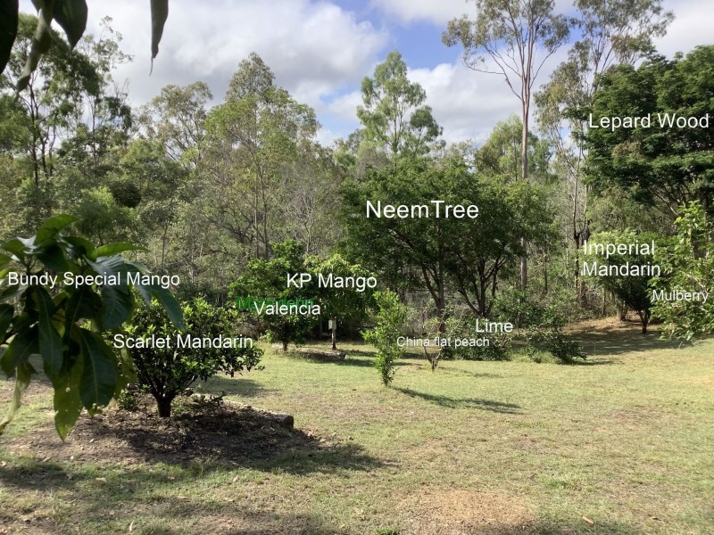 118 Stronachs Road, Horse Camp QLD 4671