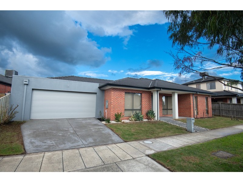 46 Hal Porter Terrace, Lynbrook VIC 3975