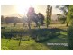 Lot 1 71 Mountain River Road, Grove TAS 7109