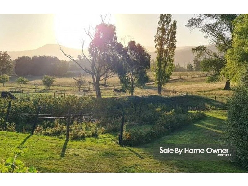 Lot 1 71 Mountain River Road, Grove TAS 7109