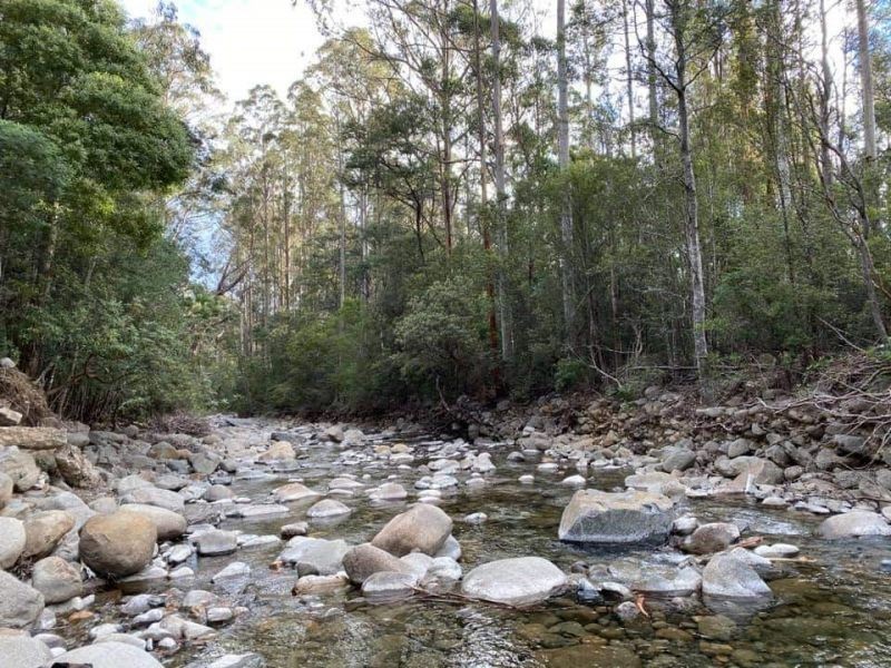 Lot 1 71 Mountain River Road, Grove TAS 7109